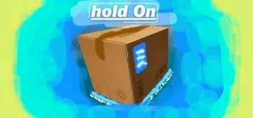 Hold On: The Delivery for the Goose cover image