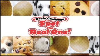 Brain Challenge Spot the Real One! cover image