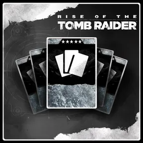 Silver Pack cover image