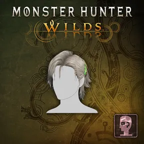 Hairstyle: Erik cover image