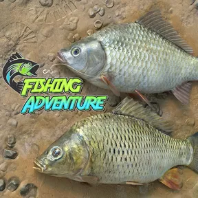 Fishing Adventure cover image