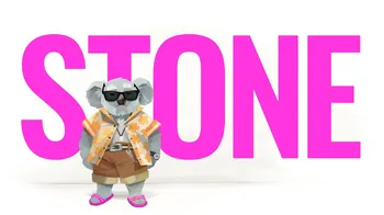 STONE cover image