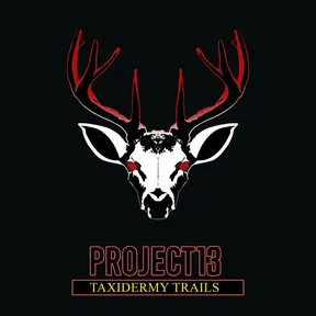 Project 13: Taxidermy cover image