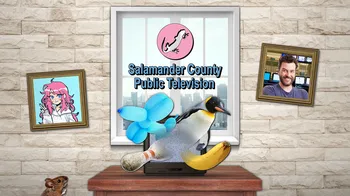 Salamander County Public Television cover image