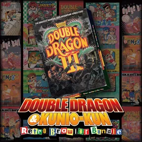 DOUBLE DRAGON Ⅲ: The Sacred Stones cover image