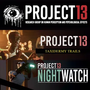 Project 13 Bundle cover image