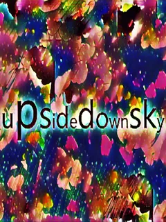 Upsidedownsky cover image