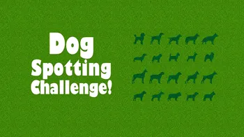 Dog Spotting Challenge! cover image