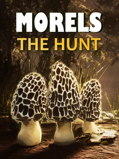 Morels: The Hunt cover image