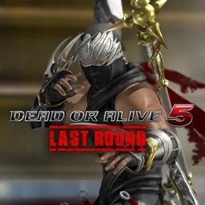 DOA5LR Ninja 2015 Hayabusa cover image