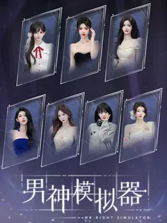 MrRight Simulator cover image