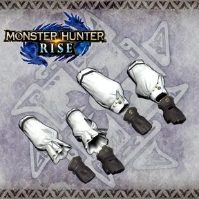 "Swallow Gloves" Hunter layered armor piece cover image