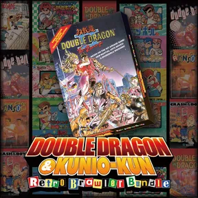 DOUBLE DRAGON Ⅱ: The Revenge cover image