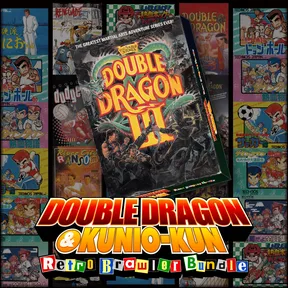 DOUBLE DRAGON Ⅲ: The Sacred Stones cover image