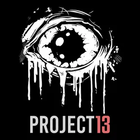 PROJECT 13 cover image