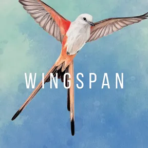 Wingspan: Woodland Wonders Decorative Pack PS4 & PS5 cover image