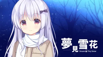 Dream of Tiny Snow cover image