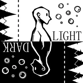 LIGHT DARK cover image