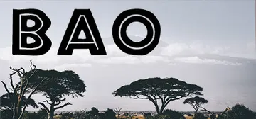 BAO cover image