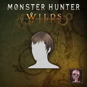 Hairstyle: Werner cover image