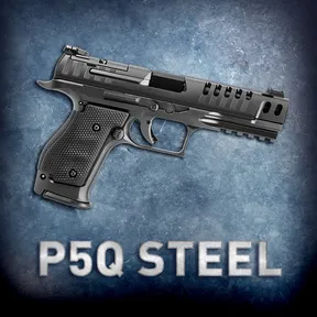 P5Q STEEL cover image