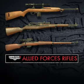 Sniper Elite 4 - Allied Forces Rifle Pack cover image