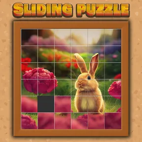 Sliding Puzzle Deluxe for PC & XBOX cover image