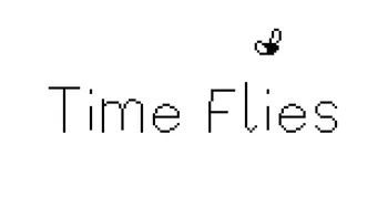 Time Flies cover image