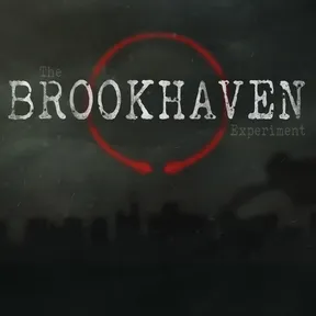 The Brookhaven Experiment cover image