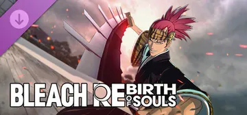 BLEACH Rebirth of Souls - Rebirth of Souls Costume Set cover image