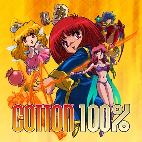 Cotton 100% cover image