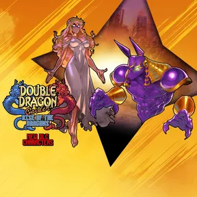 Double Dragon Gaiden: Rise of the Dragons cover image