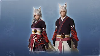 Unisex Custom Fox Costume Set cover image
