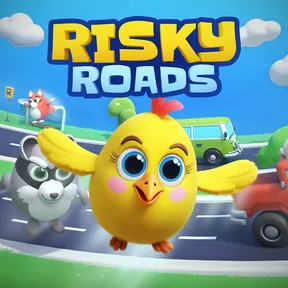 Risky Roads cover image