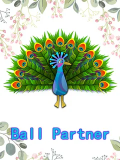 Ball Partner cover image