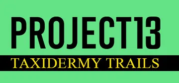 Project 13: Taxidermy Trails cover image