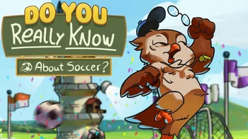 Do You Really Know About Soccer? cover image