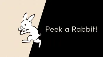 Peek a Rabbit! cover image