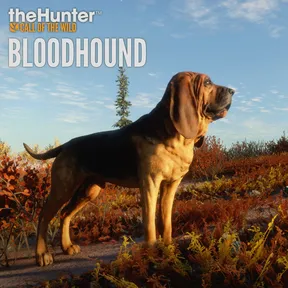 theHunter: Call of the Wild™ - Bloodhound cover image