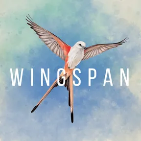 WINGSPAN cover image