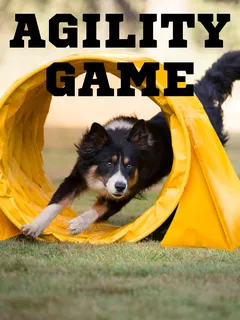 Agility Game cover image