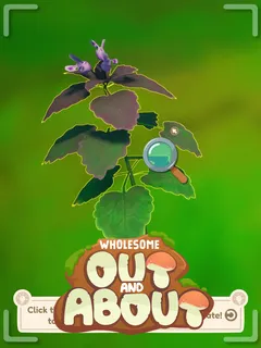 Out and About cover image