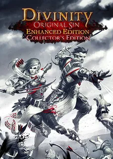Divinity: Original Sin - Enhanced Edition Collector's Edition cover image