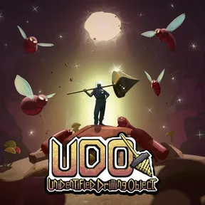 UDO: Unidentified Drilling Object cover image