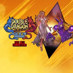 Double Dragon Gaiden: Rise of the Dragons cover image
