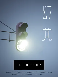 illusion cover image