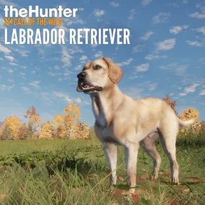 theHunter: Call of the Wild™ - Labrador Retriever cover image