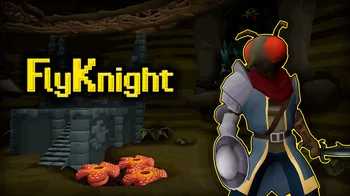 FlyKnight cover image