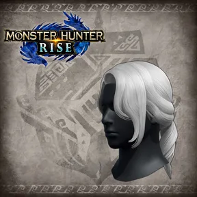 "Princely Tail" hairstyle cover image