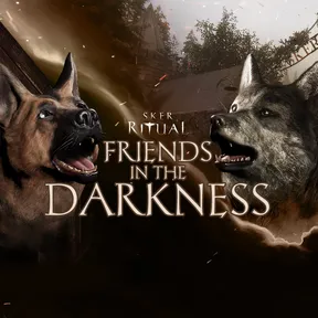 Sker Ritual - Friends in the Darkness cover image